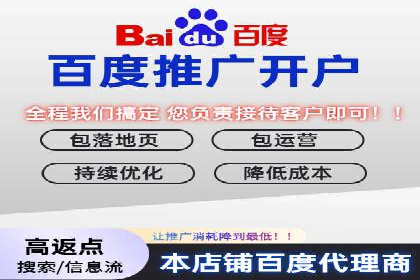 网络推广与竞价广告：双管齐下的策略案例